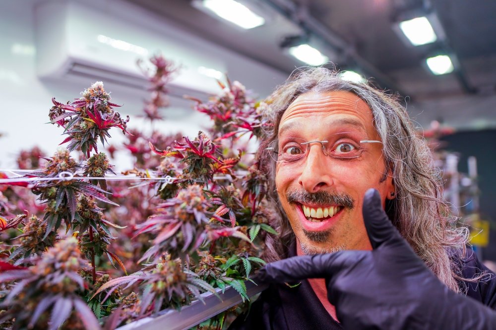 kyle-kushman.jpg