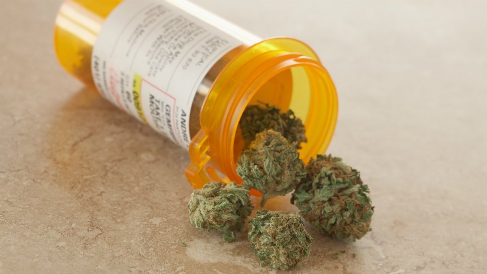 medical-cannabis.jpg