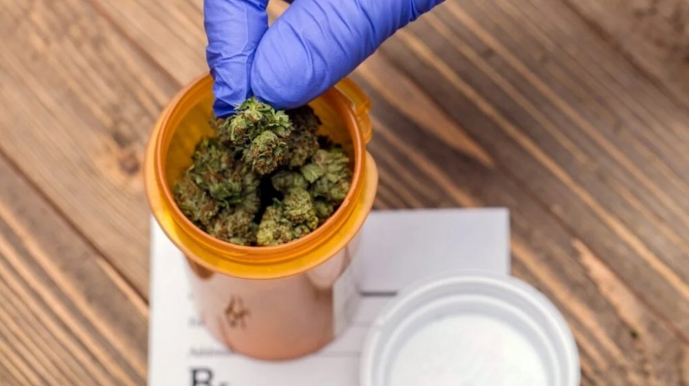 medical-cannabis.jpg