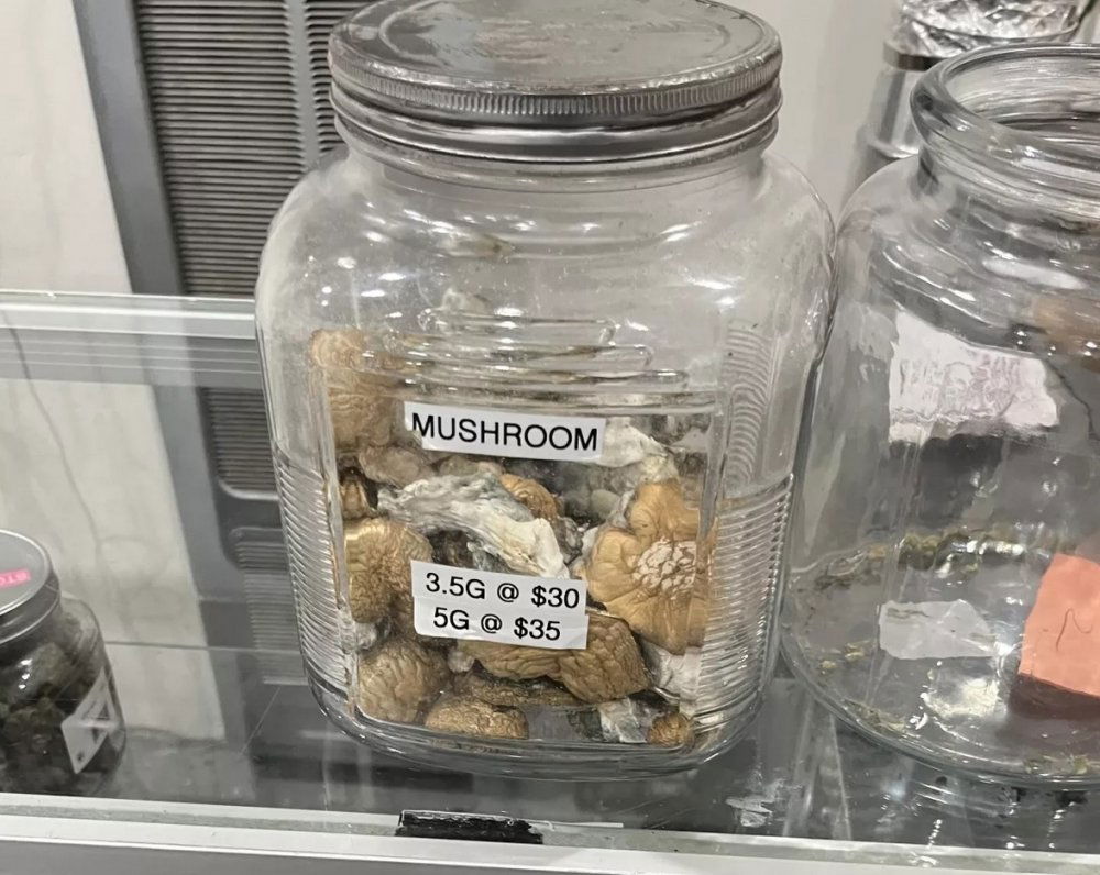 mushroom-jar-sold.jpg