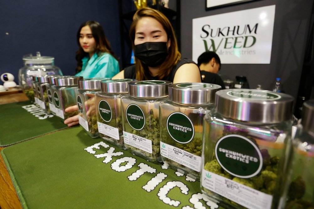 thai-cannabis-shop.jpg