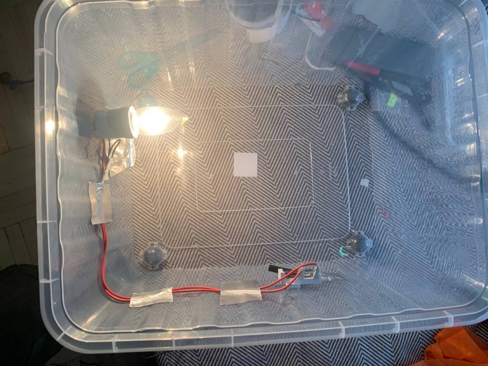 photo_2023-06-23 15.32.35.jpeg