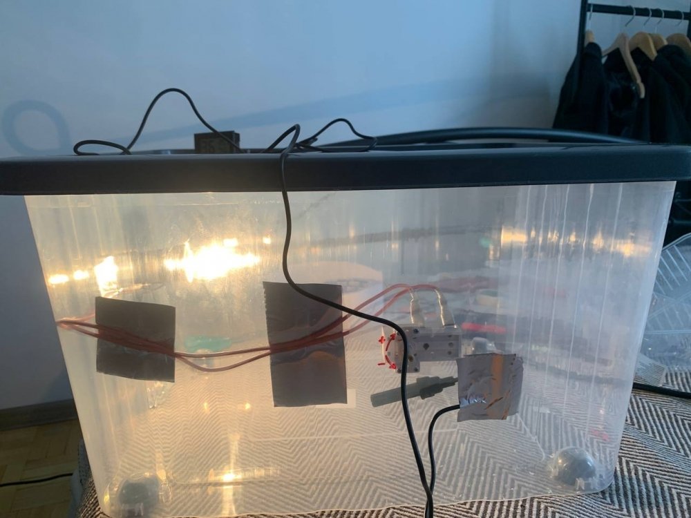 photo_2023-06-23 15.32.33 (1).jpeg