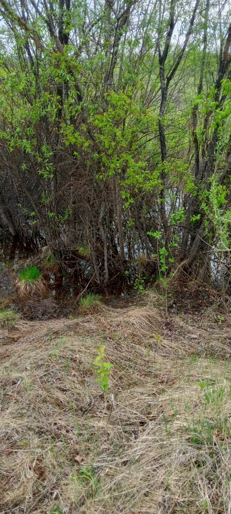 IMG20230604112012.jpg