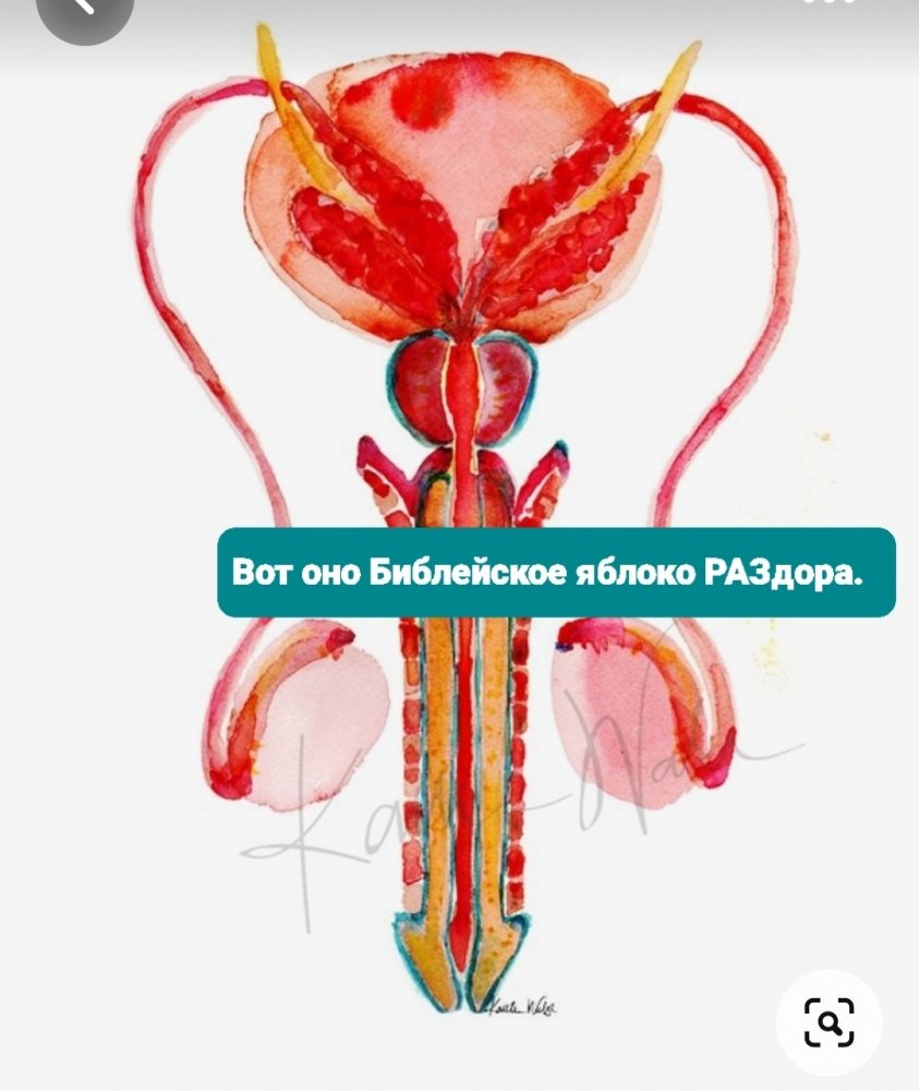 Screenshot_20230628-141453_Pinterest.thumb.jpg.54cc803b466e448f65ff8c070b5767e1.jpg