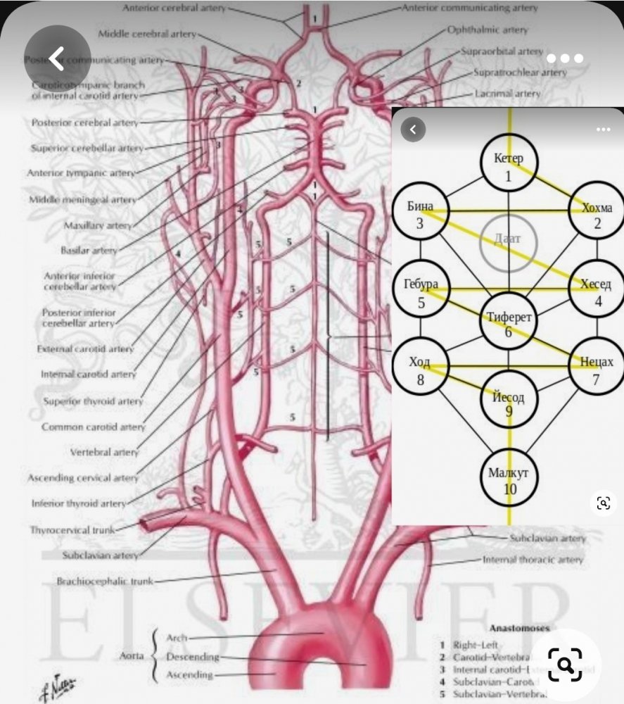 Screenshot_20230629-161030_Pinterest.thumb.jpg.a443f3d91d7ce140ad3e3a81abd90425.jpg