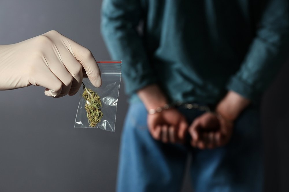 cannabis-arrest.jpg