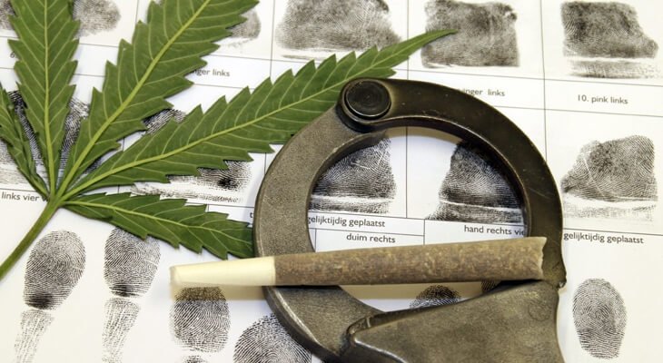 cannabis-crime.jpg
