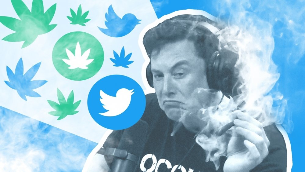 elon-musk-twitter.jpeg