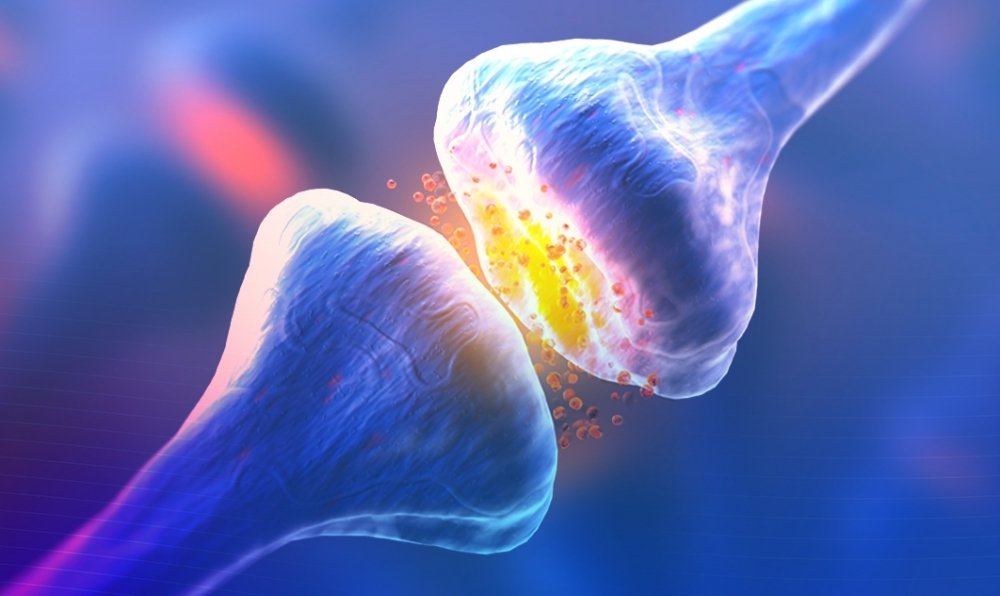receptors.jpg
