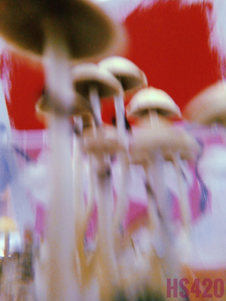 20201003_123841_0-02.jpeg