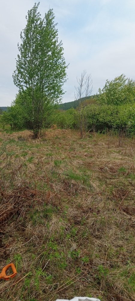 IMG20230604112001.jpg