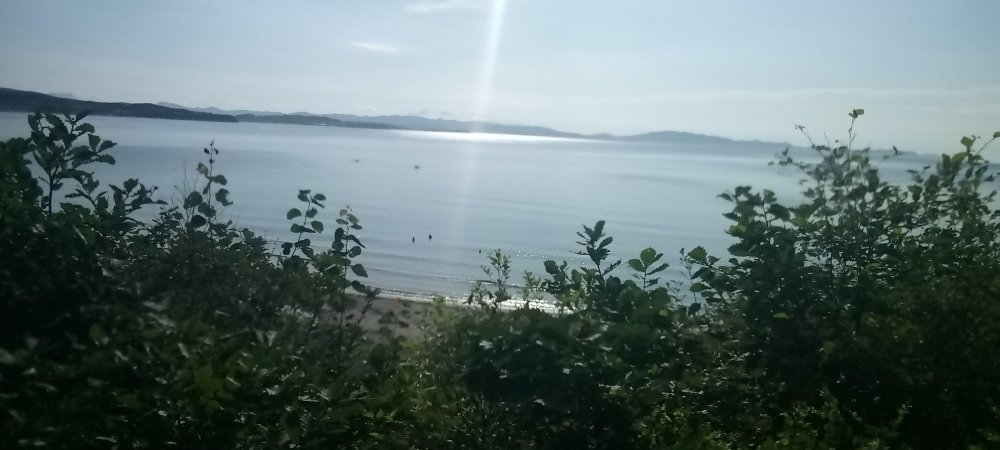 IMG_20230731_085811_632.jpg