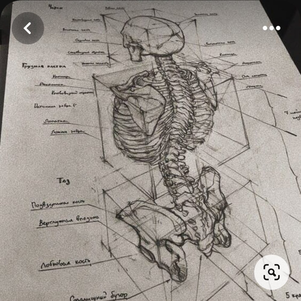 Screenshot_20230713-192459_Pinterest.thumb.jpg.3dc0607ca05312c17c5719c7e79c76ee.jpg