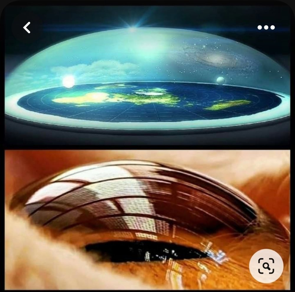 Screenshot_20230715-123320_Pinterest.thumb.jpg.b672c9bbb442a83ea8ad9643ae56d4d4.jpg