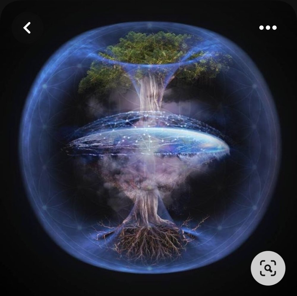 Screenshot_20230715-123503_Pinterest.thumb.jpg.c4d6cd2ccac30e0c3c54dcc1904766c5.jpg