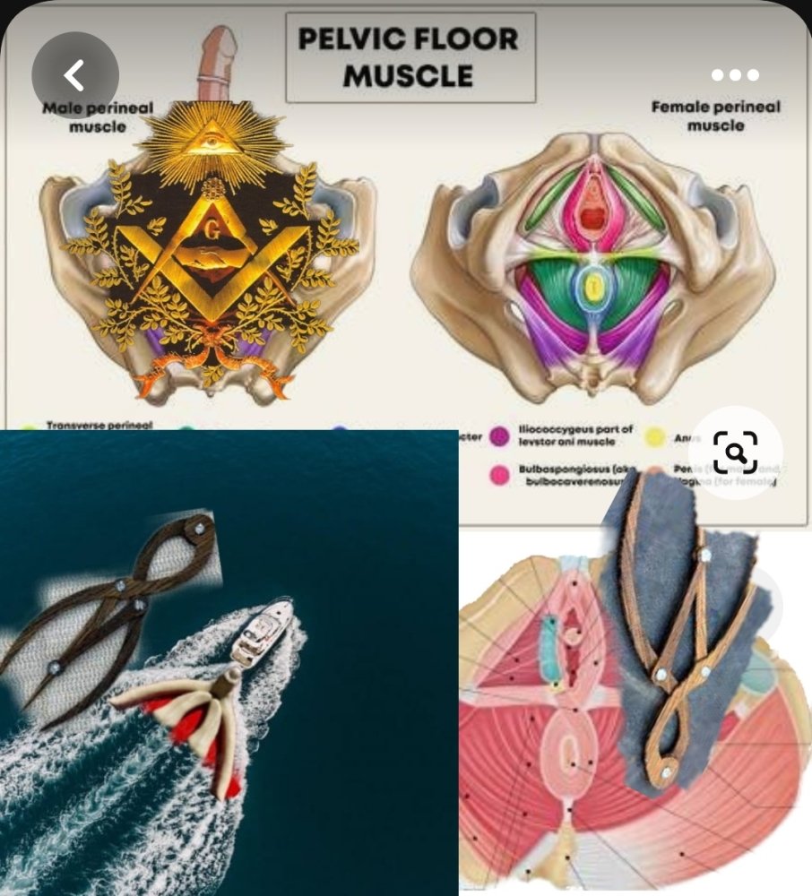 Screenshot_20230716-150055_Pinterest.thumb.jpg.4774ee051b6504525ba1e87f469ec46d.jpg