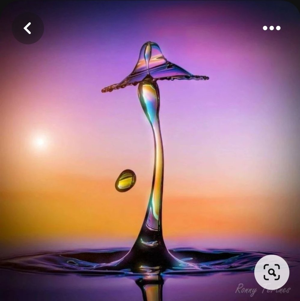 Screenshot_20230717-121430_Pinterest.thumb.jpg.438fb5ef44c3838da58cbdc4b648f8aa.jpg