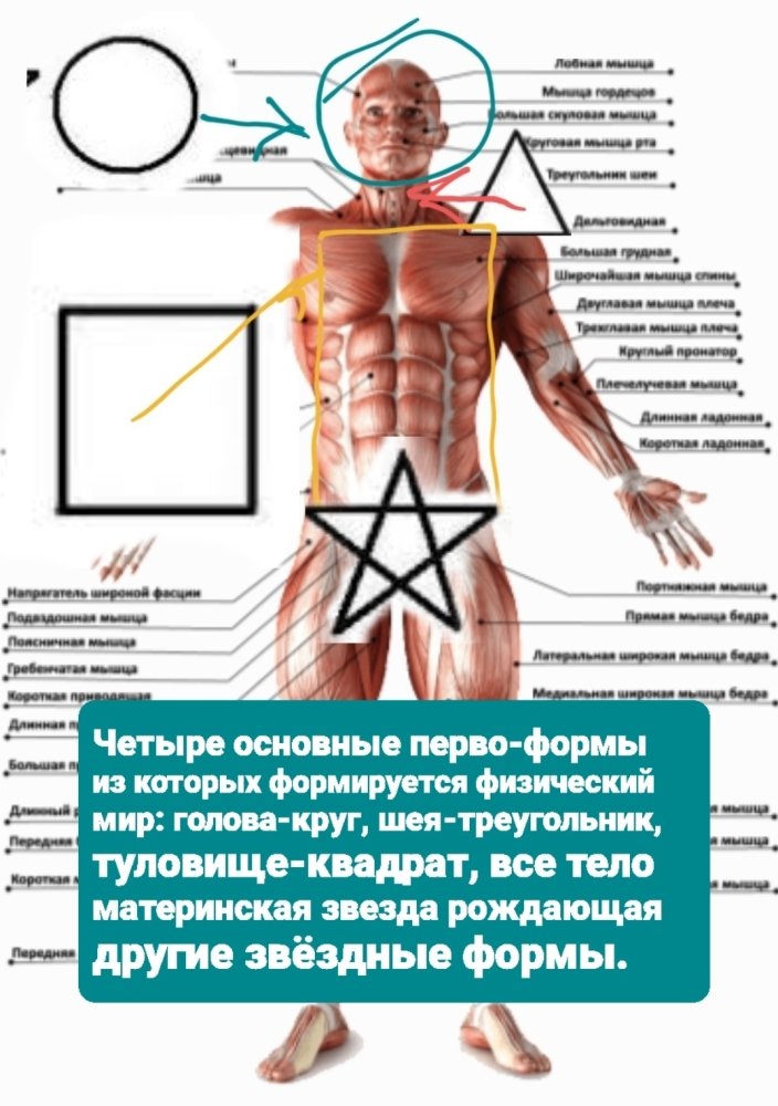 Screenshot_20230721-181646_Gallery.thumb.jpg.e9892d7f55a07fd9b7819083e0dd66c5.jpg