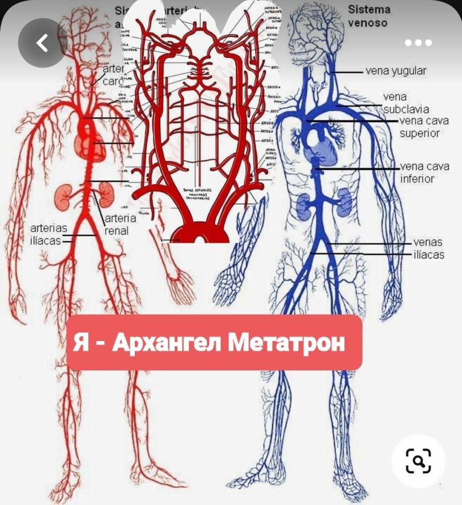 Screenshot_20230727-124939_Pinterest.thumb.jpg.f6bfb2909202446b9a879fa2c452c05d.jpg