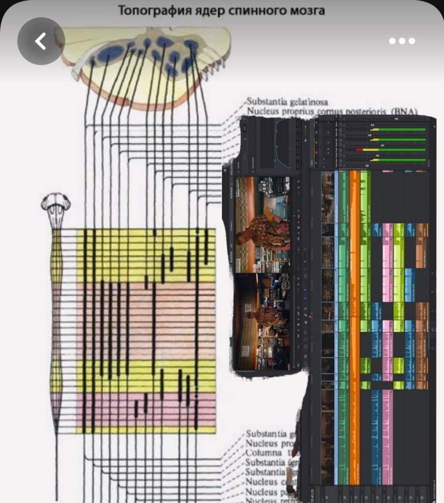 Screenshot_20230728-190816_Pinterest.thumb.jpg.8de4e192cb0625e691b80e2f66b357fd.jpg