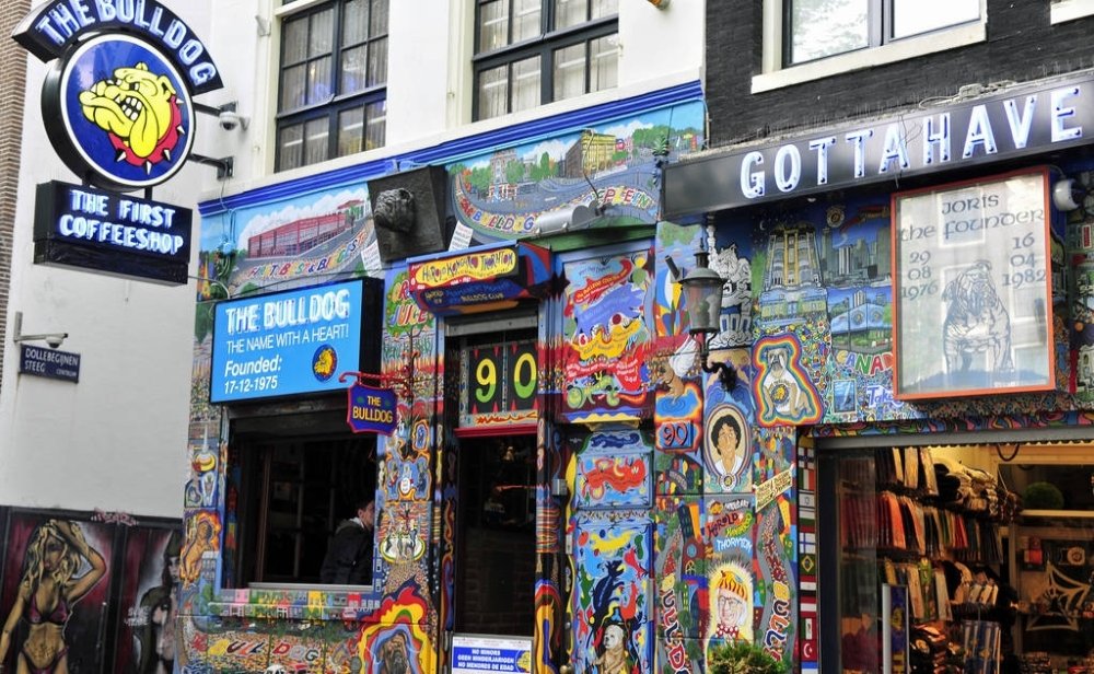 amsterdam-coffee-shop.jpg