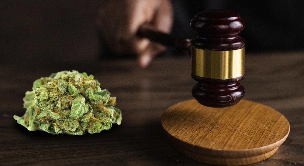 cannabis-court.jpg