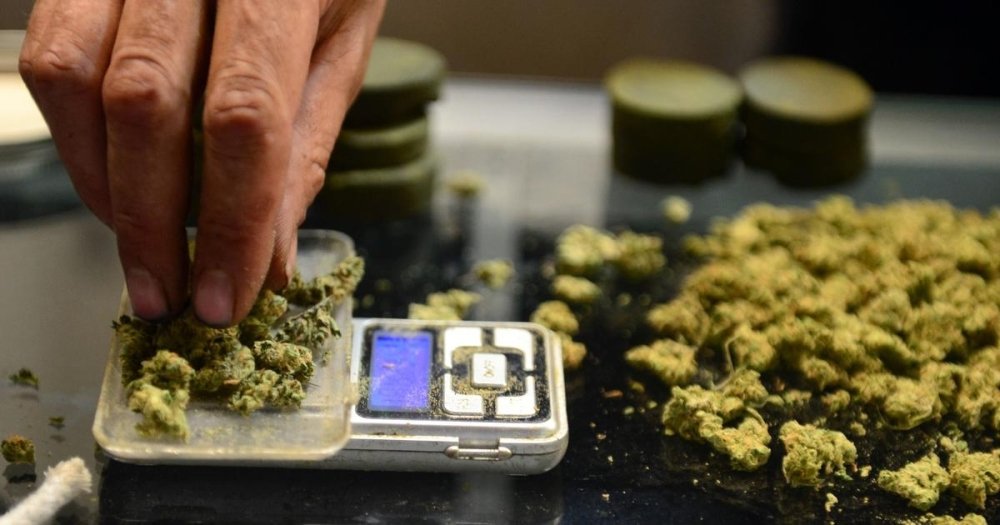 cannabis-weight.jpg