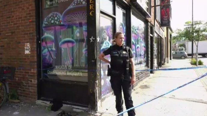 funguyz-closed-shop.jpg