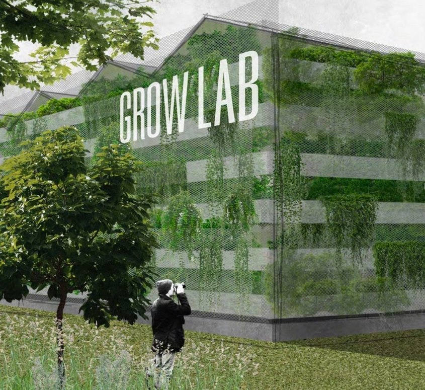 glo-grow-lab.jpg