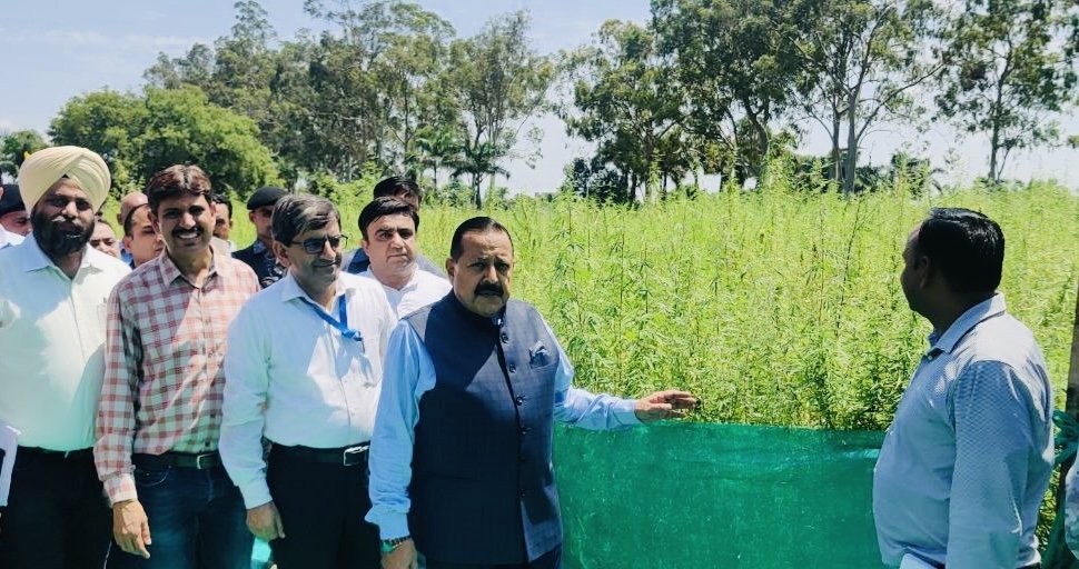 jitendra-singh-cannabis.jpg