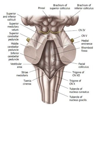 2t0UOlkEvRvCGKF-WLIqHw.jpg.47c42c3c938f28195f159dfab30dcee5.jpg