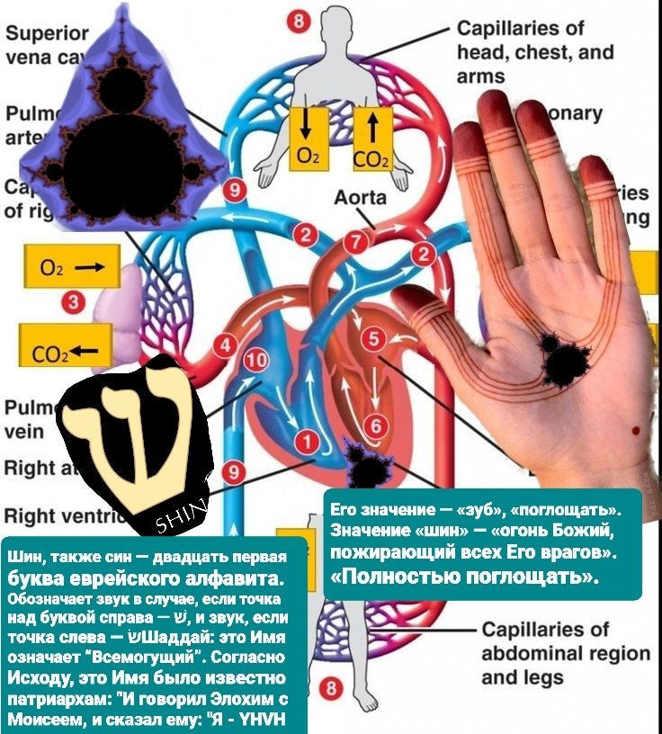 4db864a9ef5e84006785019617827090.jpg.6e67a879bddb2ddc37ff4f1bc20dd833.jpg