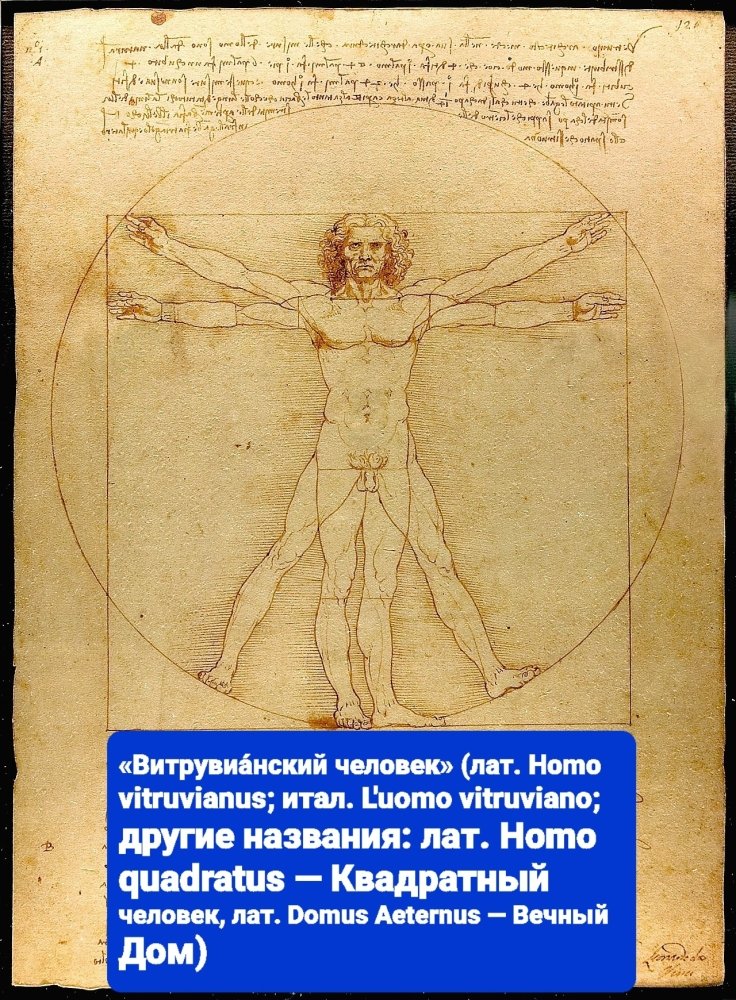 Da_Vinci_Vitruve_Luc_Viatour.thumb.jpg.e5d9db12d459aac35746eb7de5514243.jpg