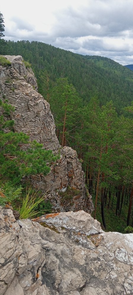 IMG20220806121239_01.jpg