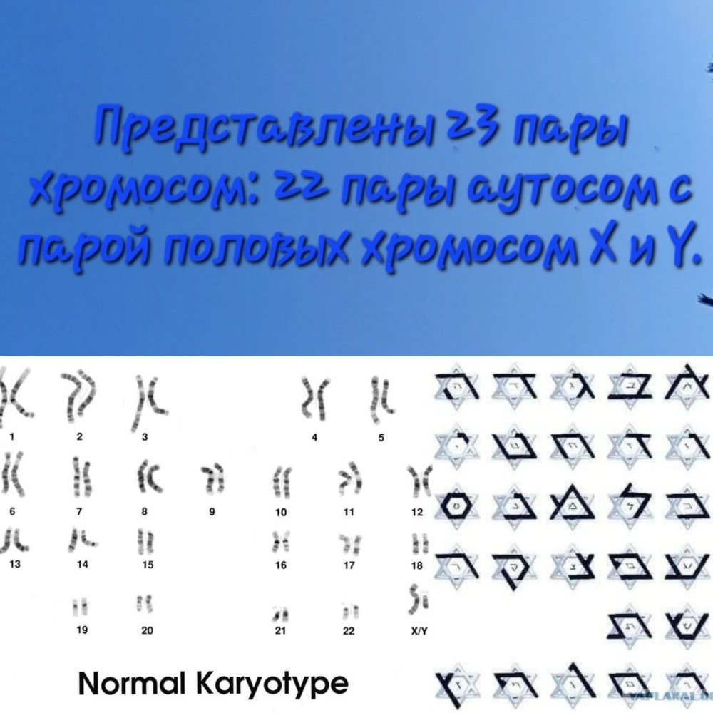 IMG_20230803_170918_237.thumb.jpg.a51eebd7498c7ce57a3feac41ed65af1.jpg