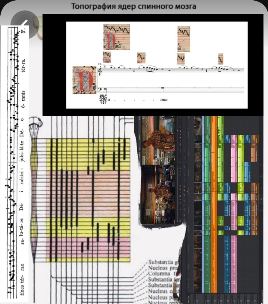 Screenshot_20230728-190816_Pinterest.thumb.jpg.6690158a18653419e1a757849ee23f1e.jpg