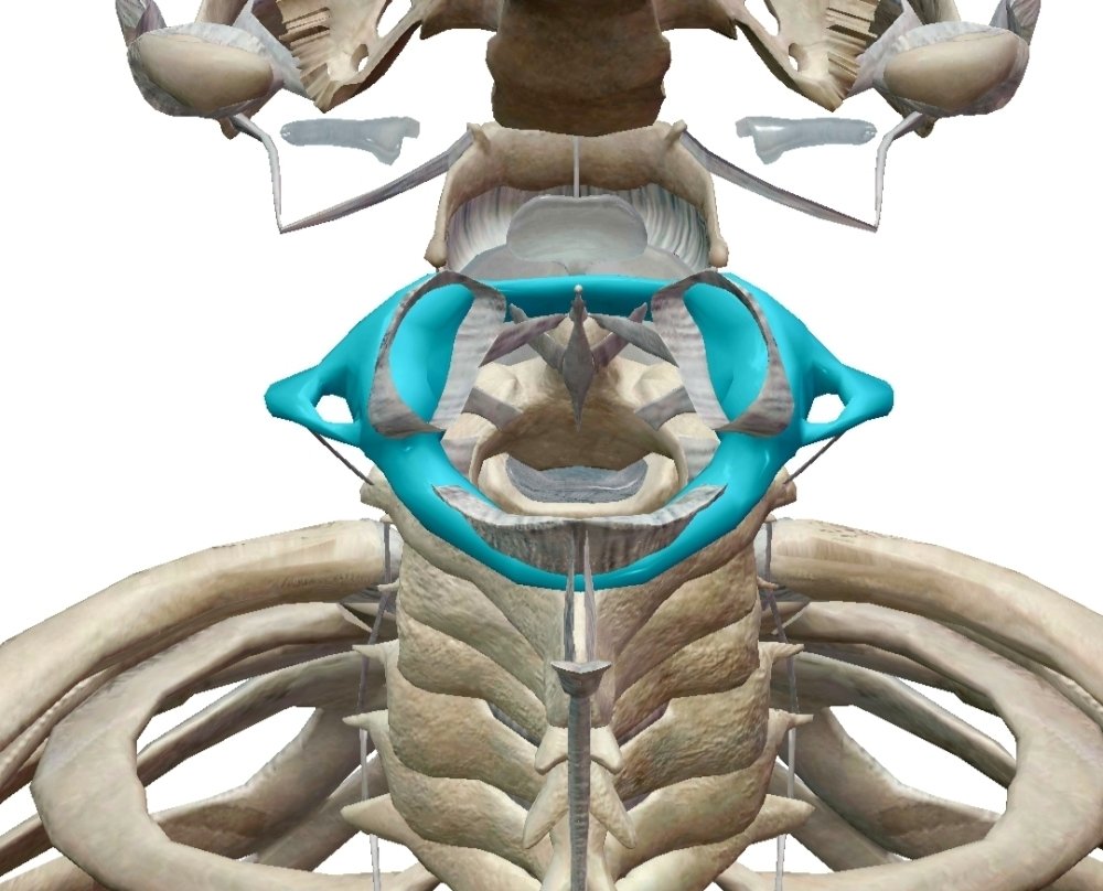 Screenshot_20230815-110223_Atlas.thumb.jpg.a5f4de43b49fa86697adaea339bc0e82.jpg