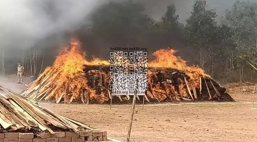 andhra-pradesh-cannabis-burn.jpg