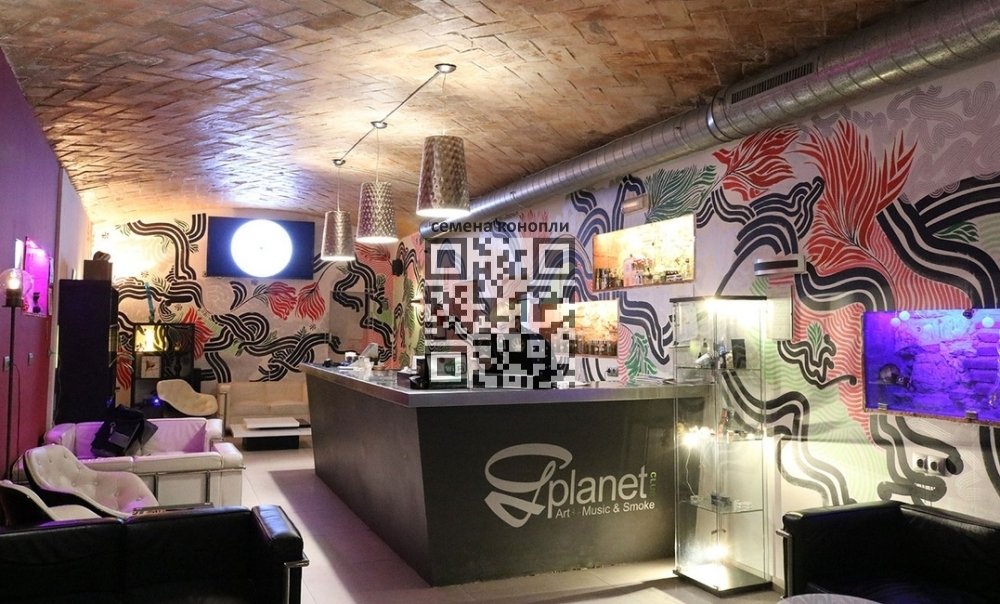 barcelona-cannabis-club.jpg