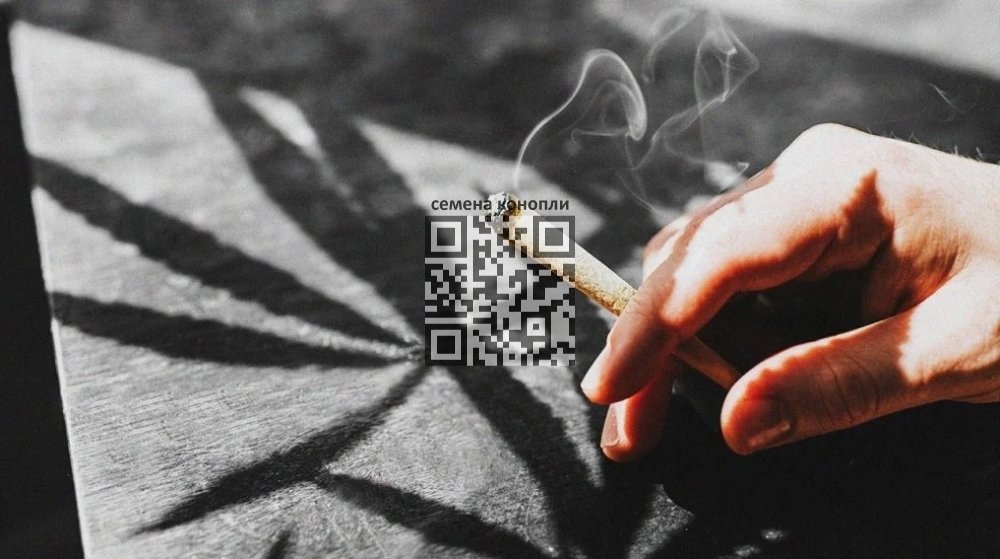 cannabis-smoke.jpg