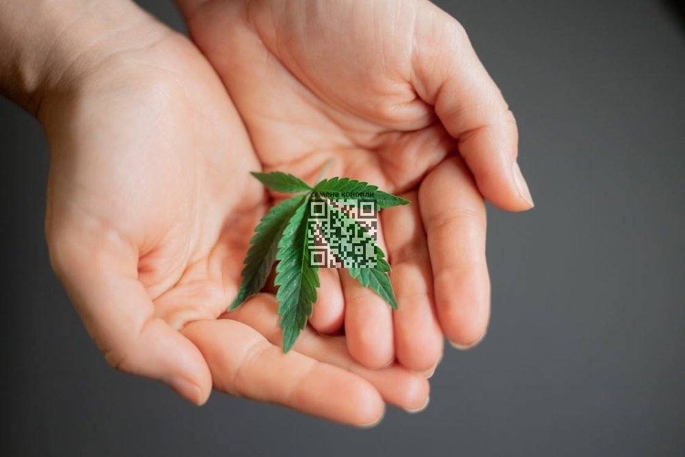 cannabis-vibrator.jpeg