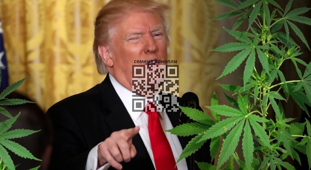 donald-trump.jpg