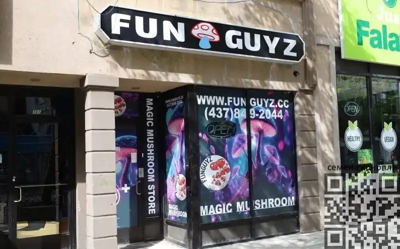 funguys-shop.jpg