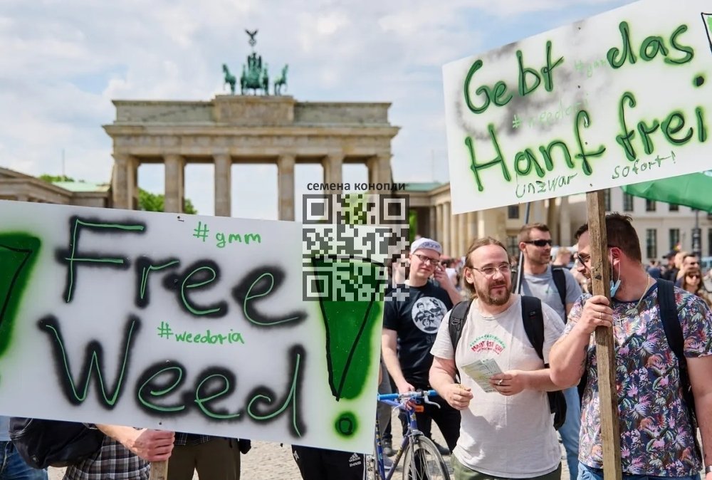germans-pro-cannabis.jpg