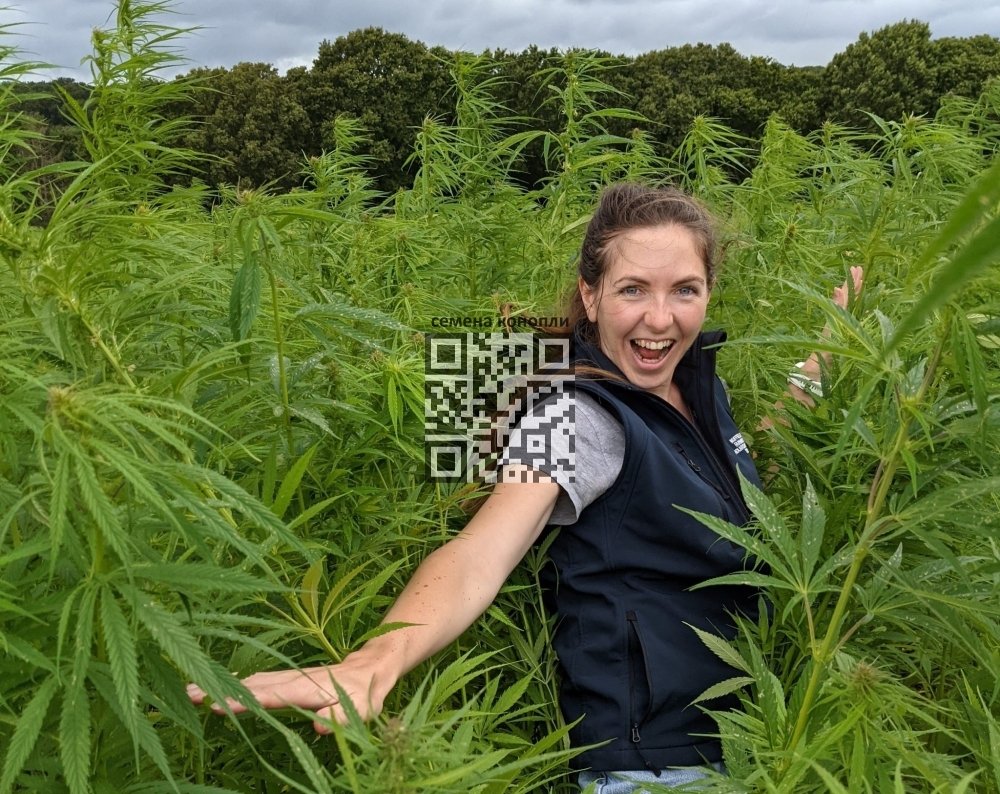 hemp-farmer.jpg