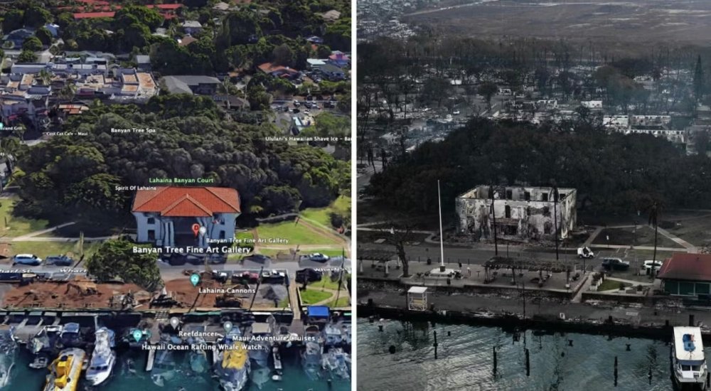 maui-before-after-fire.jpg