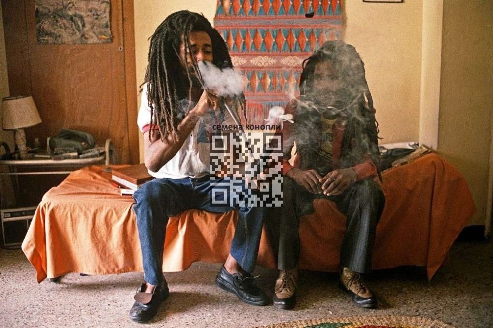 rasta-cannabis-smoke.jpg