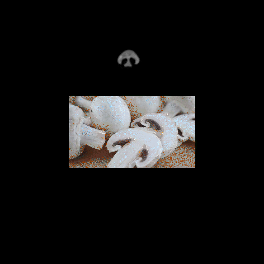 video_2023-08-06_14-42-21.gif.5449c85835f13353e3498a31067ac93a.gif