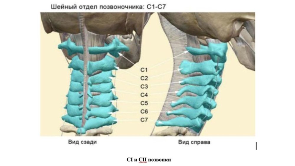 11-1-1024x576.thumb.jpg.467097a6b094efd2a8a872a3122d14f2.jpg